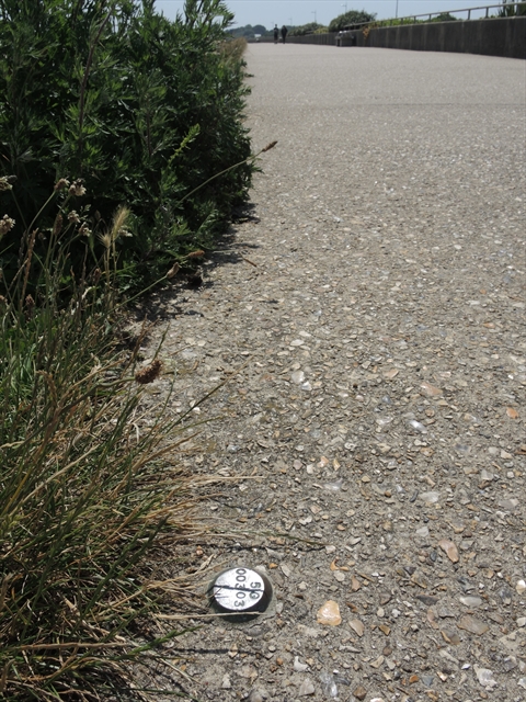 Environment Agency on Seafront pavement